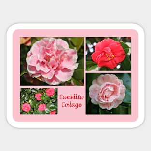 Camellia Collage Sticker